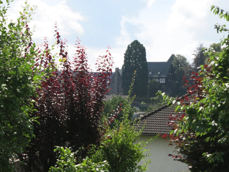 Friedewald